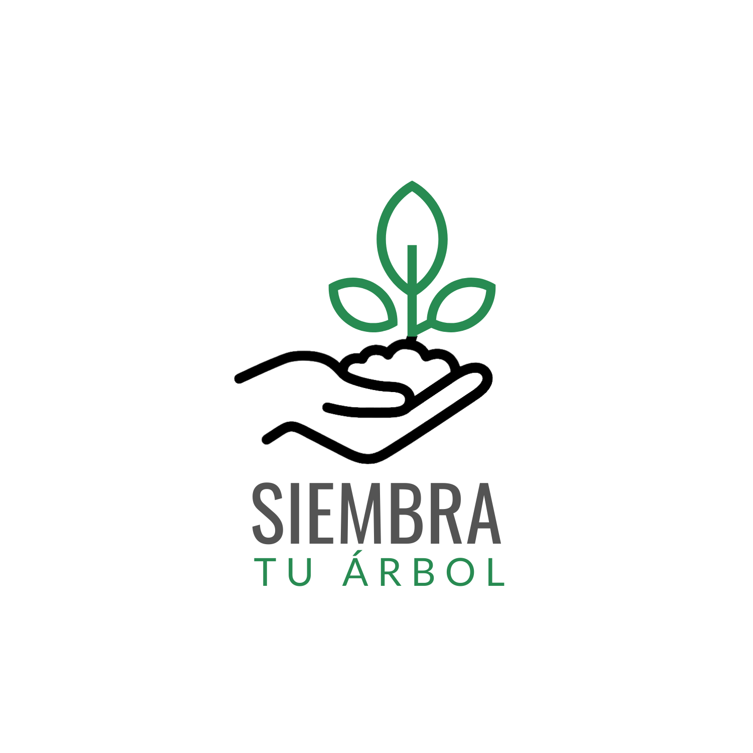 Jornadas de
Reforestación