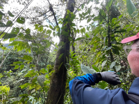 educacion ambiental